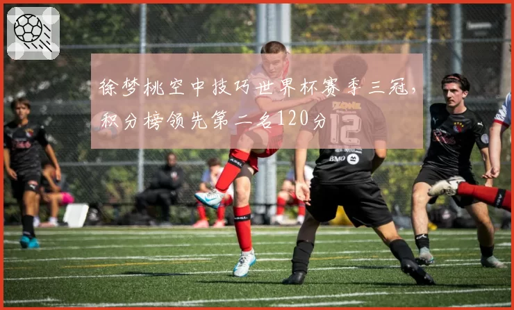 徐梦桃空中技巧世界杯赛季三冠，积分榜领先第二名120分