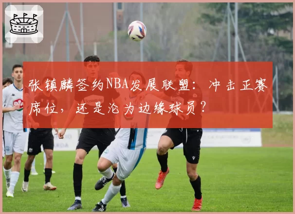 张镇麟签约NBA发展联盟:冲击正赛席位,还是沦为边缘球员?