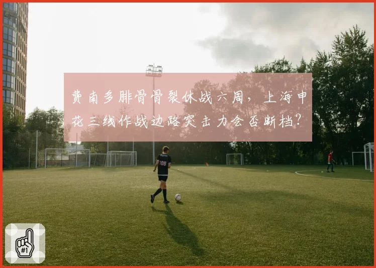 费南多腓骨骨裂休战六周,上海申花三线作战边路突击力会否断档?