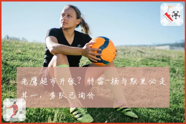 老鹰超市开张?特雷-杨与默里必走其一,多队已询价
