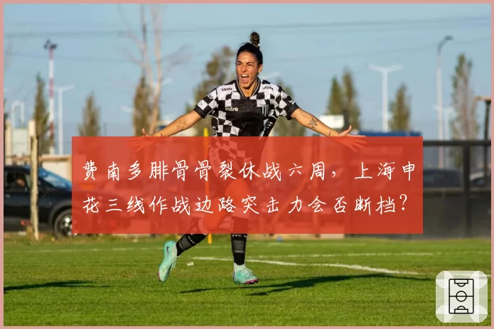 费南多腓骨骨裂休战六周,上海申花三线作战边路突击力会否断档?
